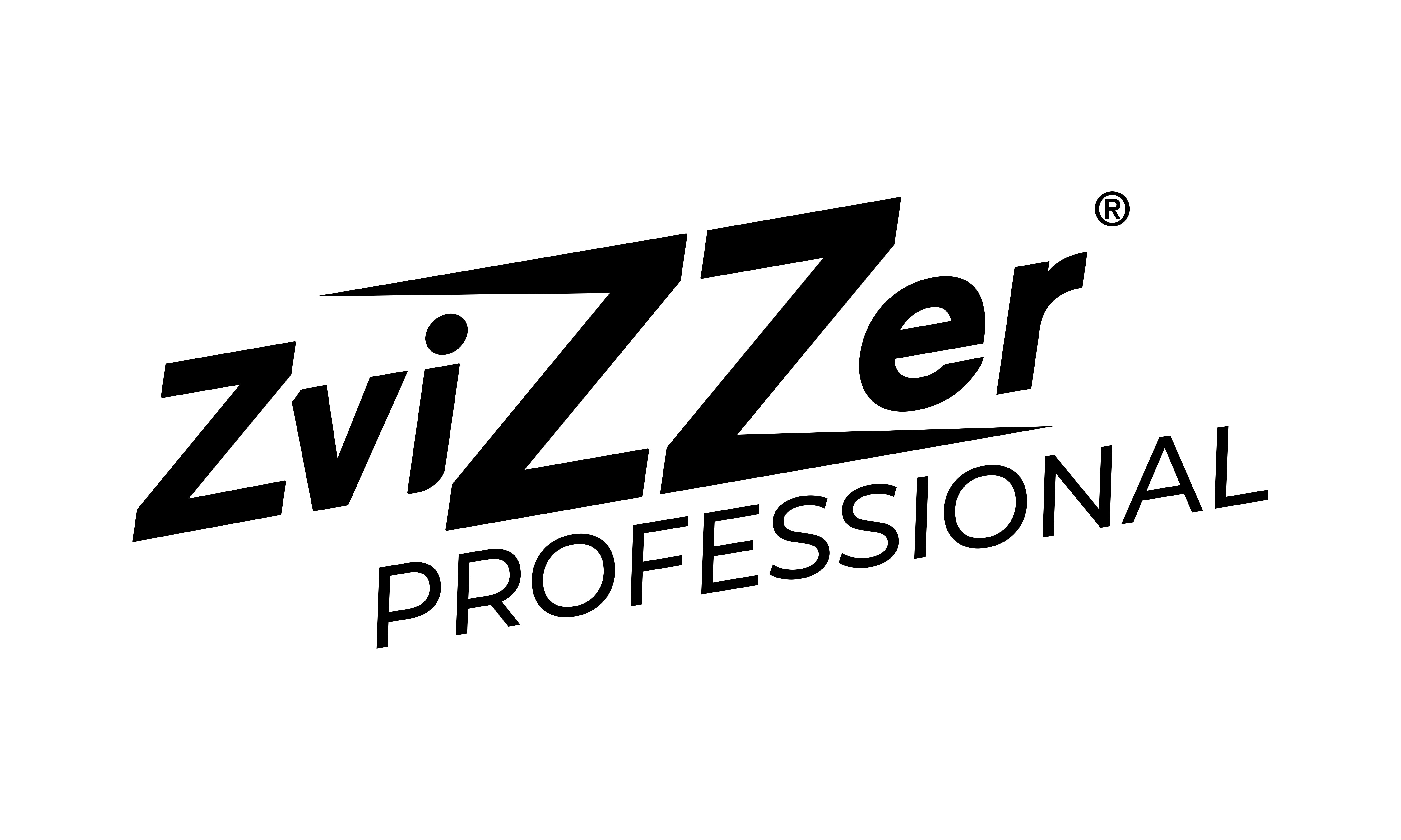 ZVIZZER